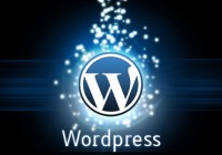 Setting WordPress to Auto Update via Wp-config
